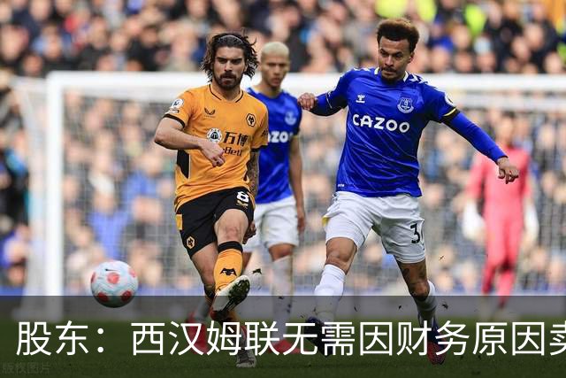 股东：西汉姆联无需因财务原因卖核心球员，要以最快速度重返英超